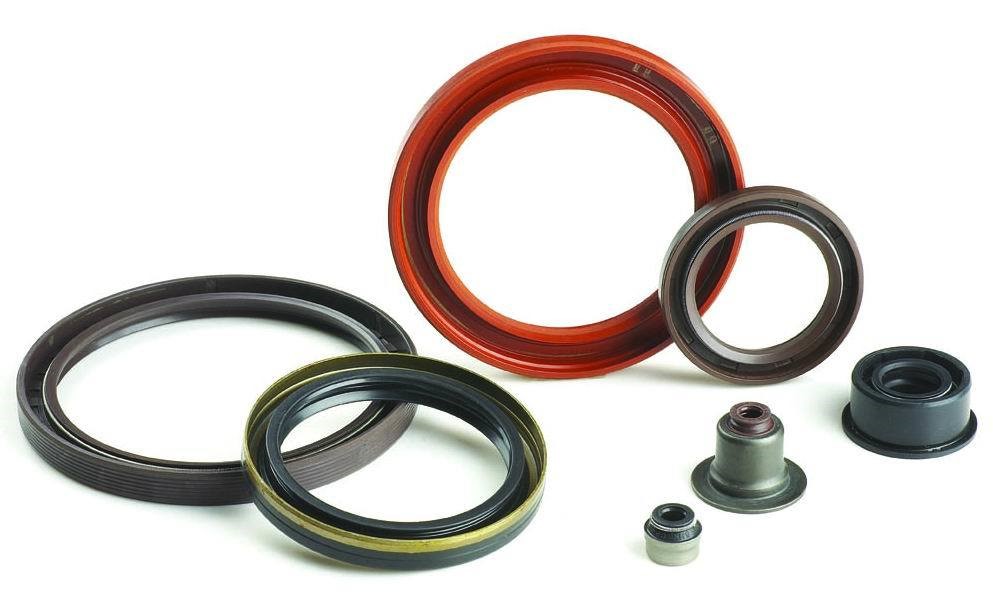 CURRENT STATUS OF RUBBER AND PLASTIC SEAL INDUSTRY AT HOME AND ABROAD