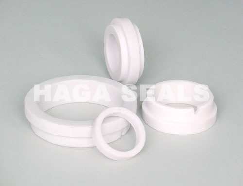 Seal Ring with Step