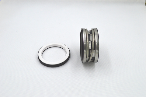 Type 2100 Mechanical Seal