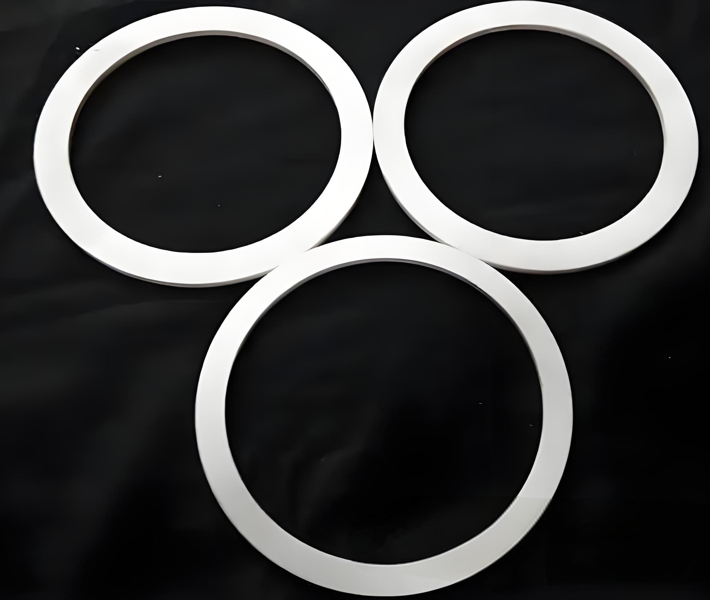 Flat Seal Ring