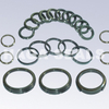 Seal Ring with Step
